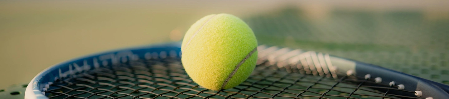 Gros plan sur une raquette de tennis et des balles sur un court en gazon, mettant en avant le matériel utilisé pour l'entraînement et la pratique récréative du tennis.